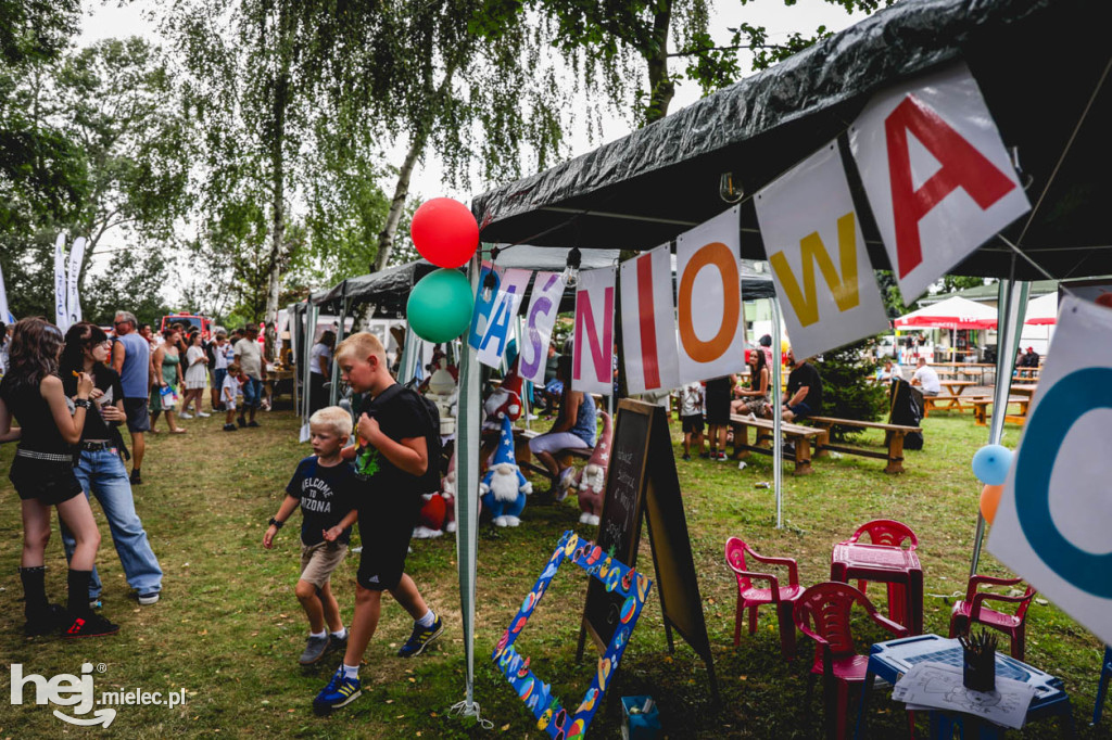 II Gminny Piknik Rodzinny w Gawłuszowicach