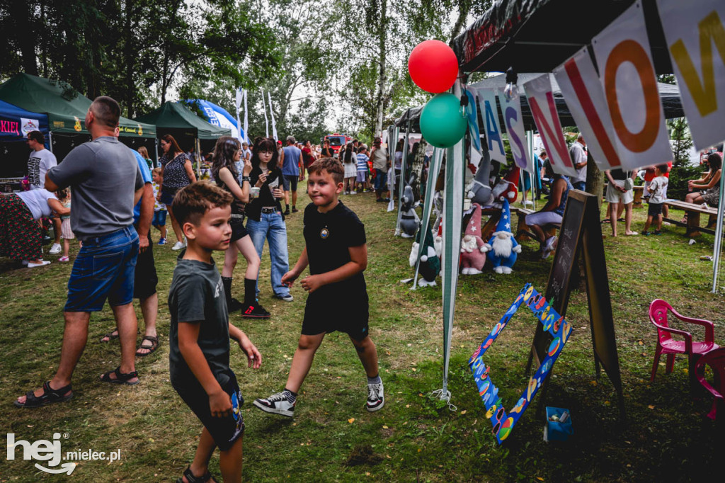 II Gminny Piknik Rodzinny w Gawłuszowicach