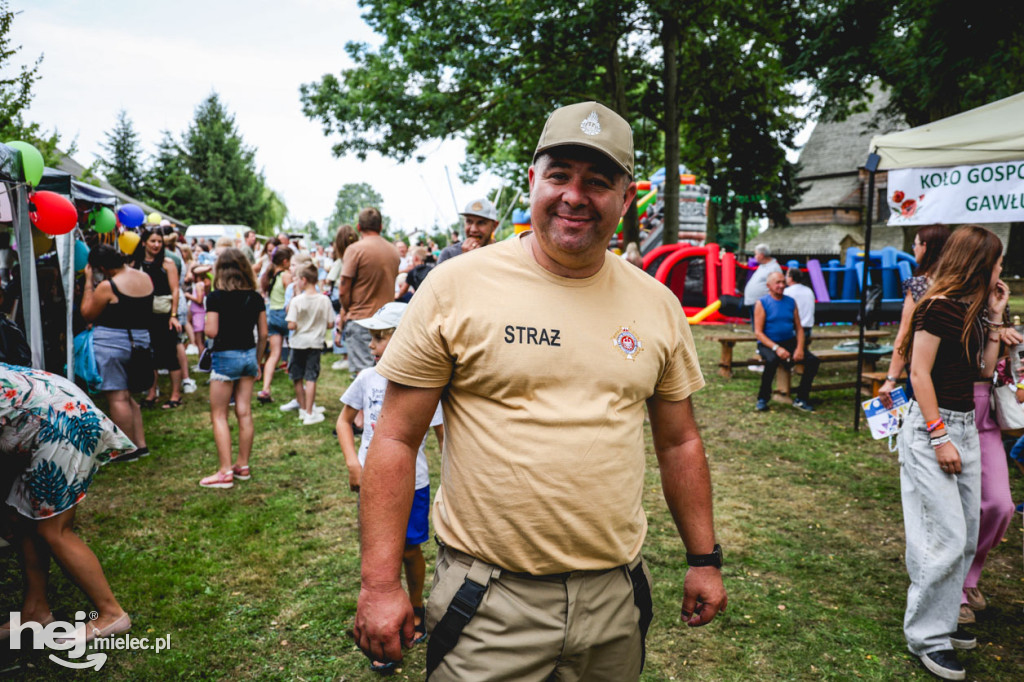 II Gminny Piknik Rodzinny w Gawłuszowicach