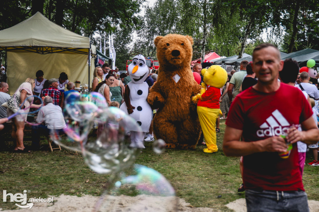 II Gminny Piknik Rodzinny w Gawłuszowicach