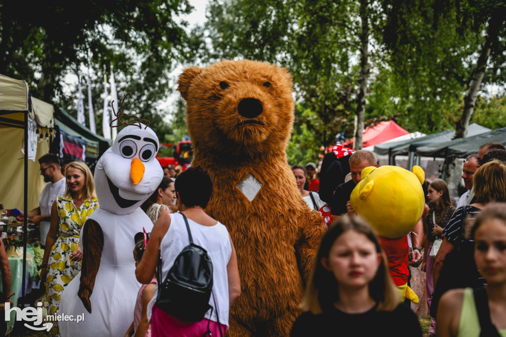 II Gminny Piknik Rodzinny w Gawłuszowicach