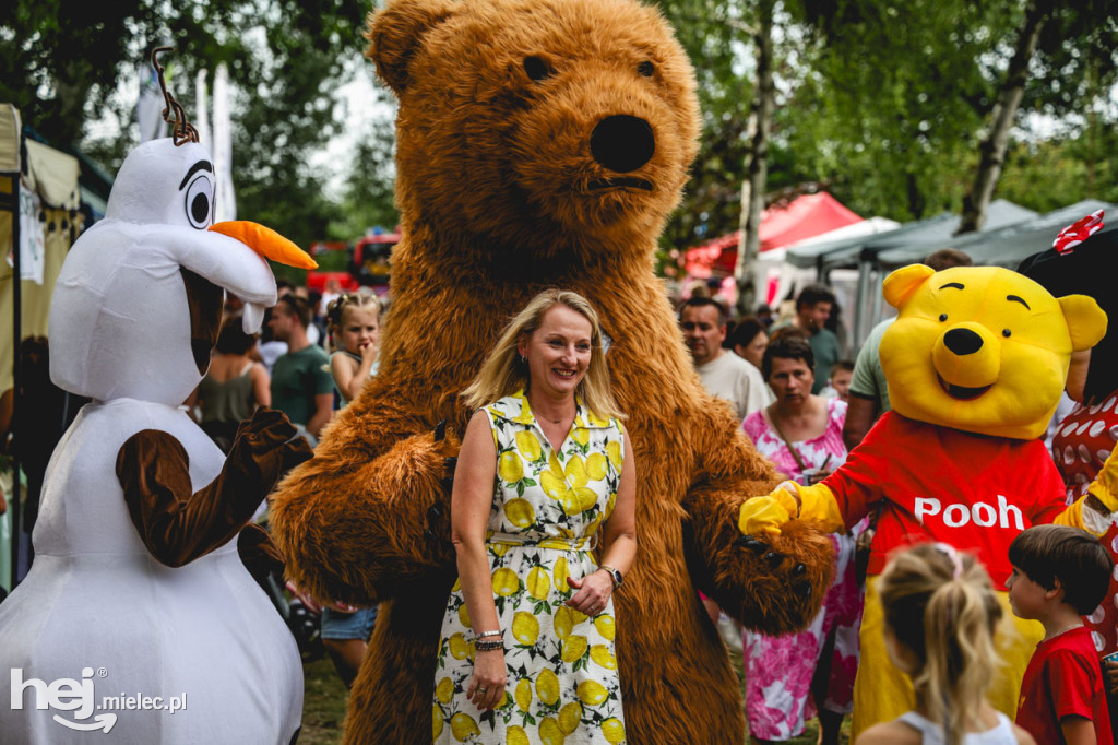II Gminny Piknik Rodzinny w Gawłuszowicach