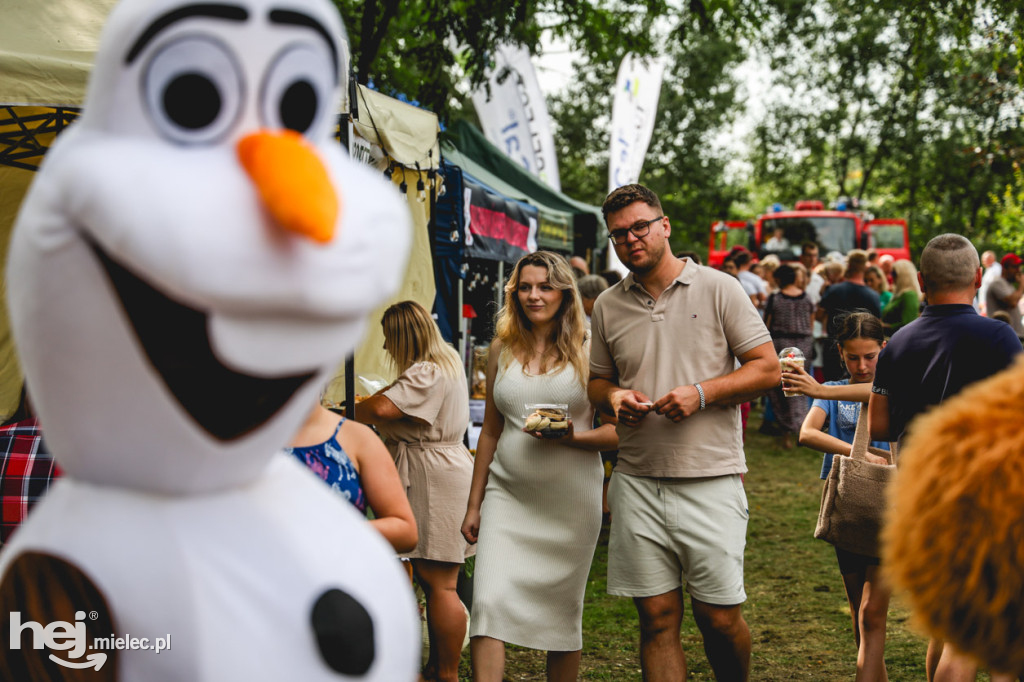 II Gminny Piknik Rodzinny w Gawłuszowicach