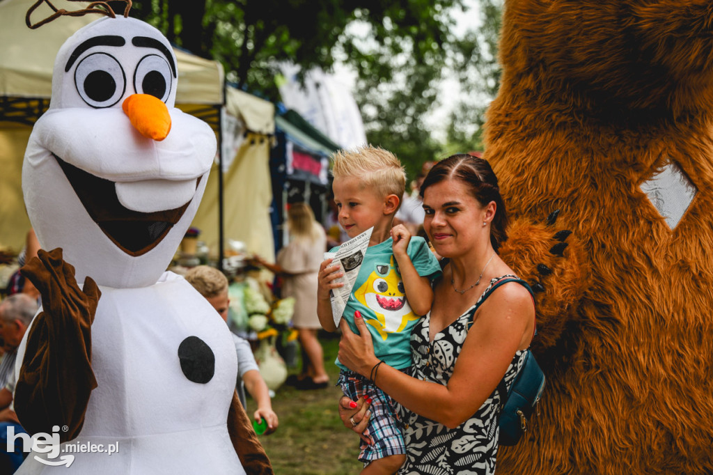 II Gminny Piknik Rodzinny w Gawłuszowicach