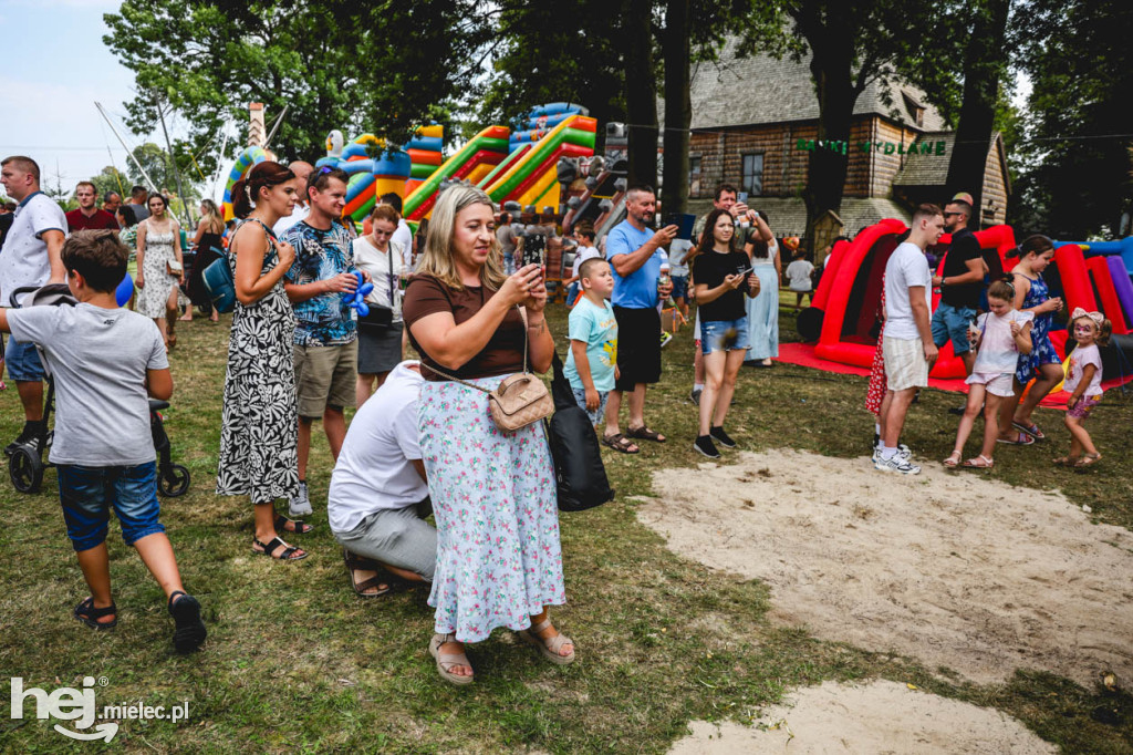 II Gminny Piknik Rodzinny w Gawłuszowicach