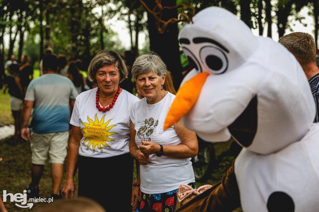 II Gminny Piknik Rodzinny w Gawłuszowicach