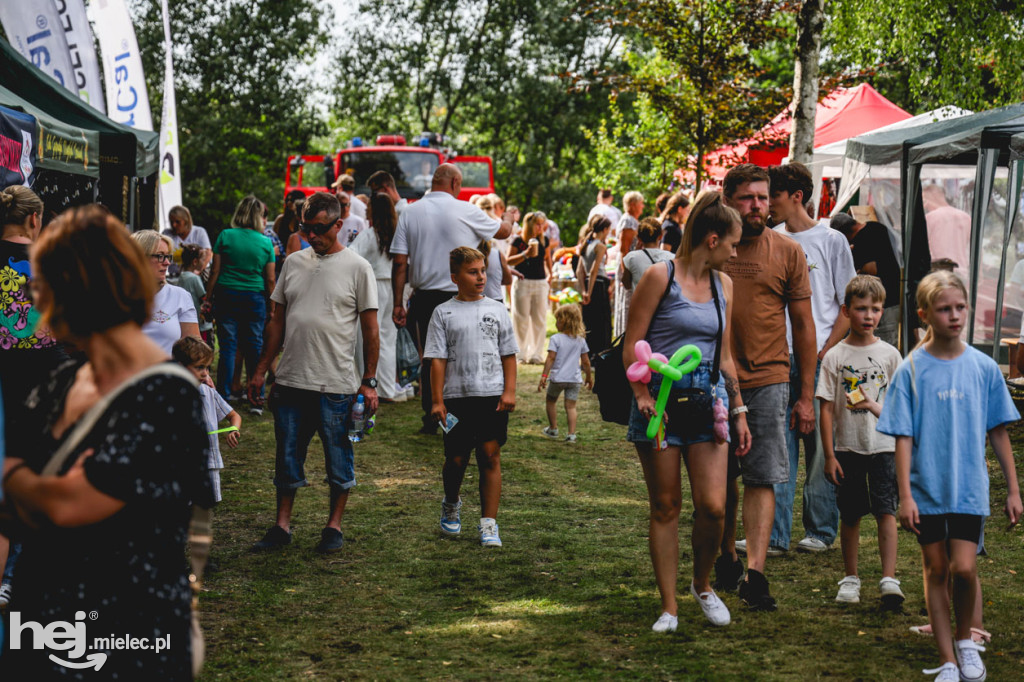 II Gminny Piknik Rodzinny w Gawłuszowicach