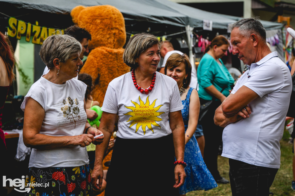 II Gminny Piknik Rodzinny w Gawłuszowicach