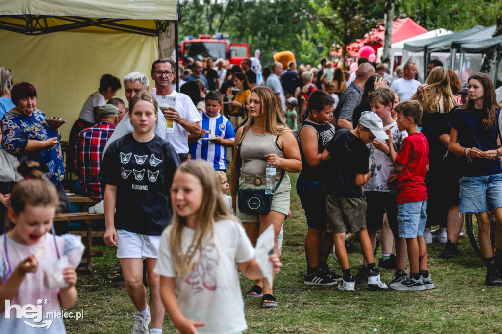 II Gminny Piknik Rodzinny w Gawłuszowicach