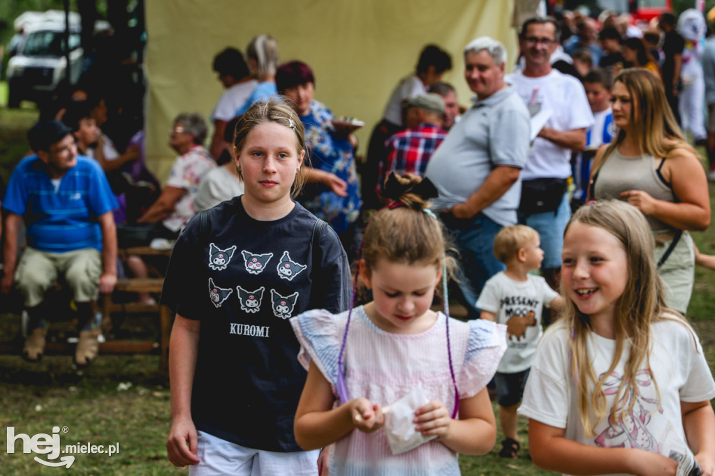 II Gminny Piknik Rodzinny w Gawłuszowicach