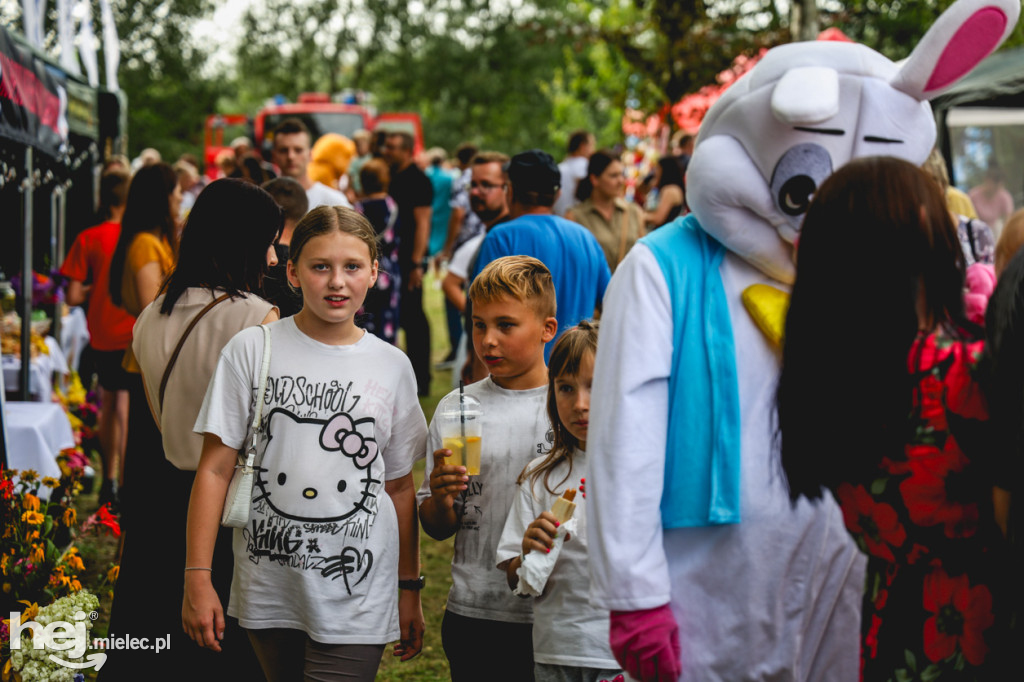II Gminny Piknik Rodzinny w Gawłuszowicach