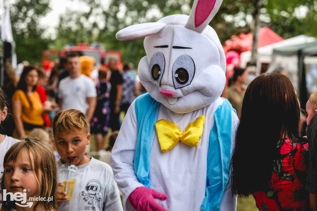 II Gminny Piknik Rodzinny w Gawłuszowicach