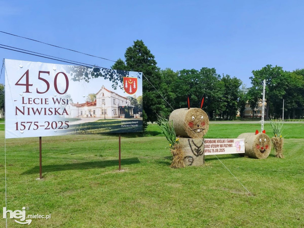 Dekoracje Dożynkowe w gminie Niwiska 2025