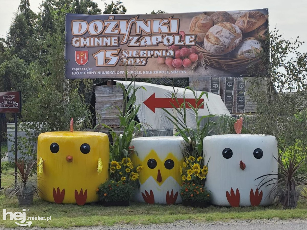 Dekoracje Dożynkowe w gminie Niwiska 2025