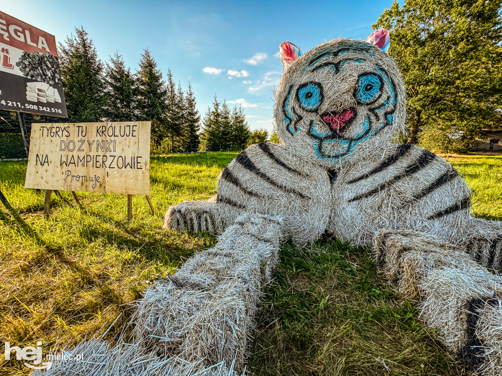 Dożynkowe dekoracje w gminie Wadowice Górne 2025