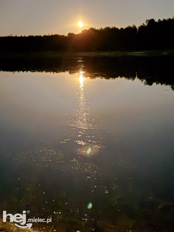 Handpanowa Noc Perseidów