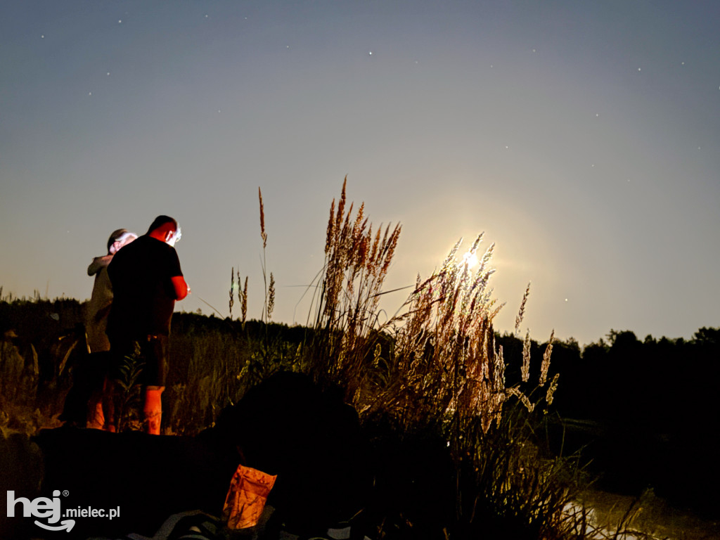 Handpanowa Noc Perseidów