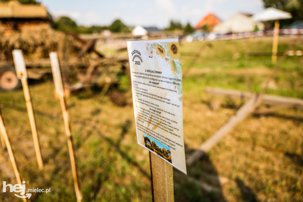 Wampierzów świętuje plony gminy Wadowice Górne