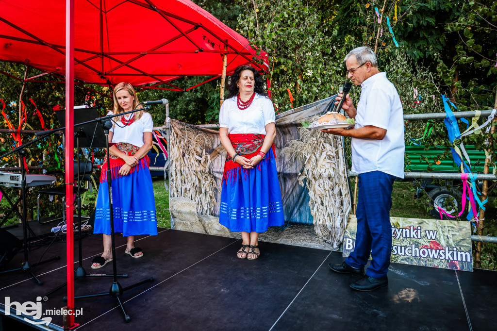 Dożynki sołeckie w Brniu Osuchowskim