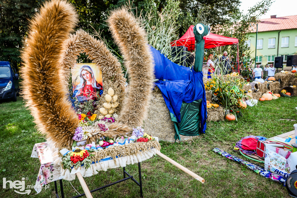 Dożynki sołeckie w Brniu Osuchowskim