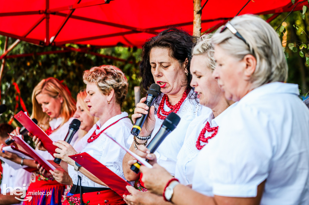 Dożynki sołeckie w Brniu Osuchowskim