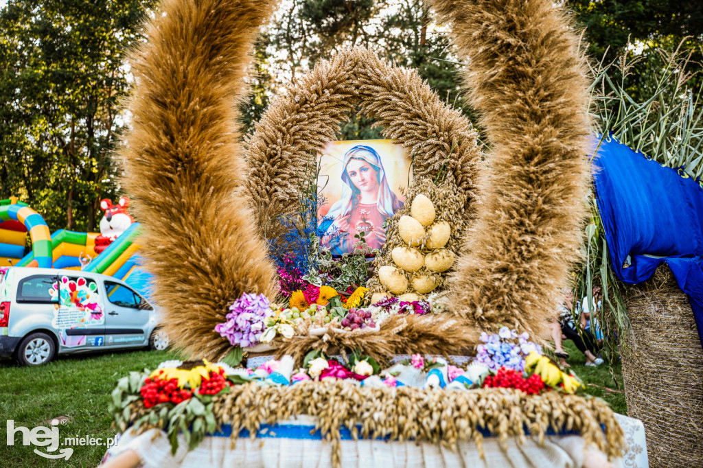 Dożynki sołeckie w Brniu Osuchowskim