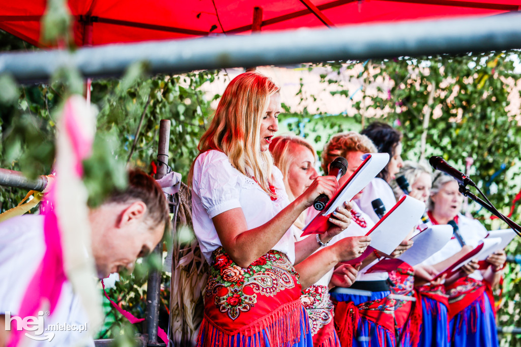 Dożynki sołeckie w Brniu Osuchowskim