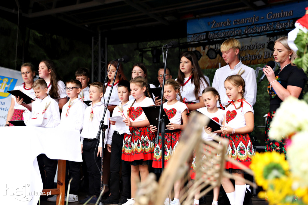Dożynki Gminne w Gawłuszowicach