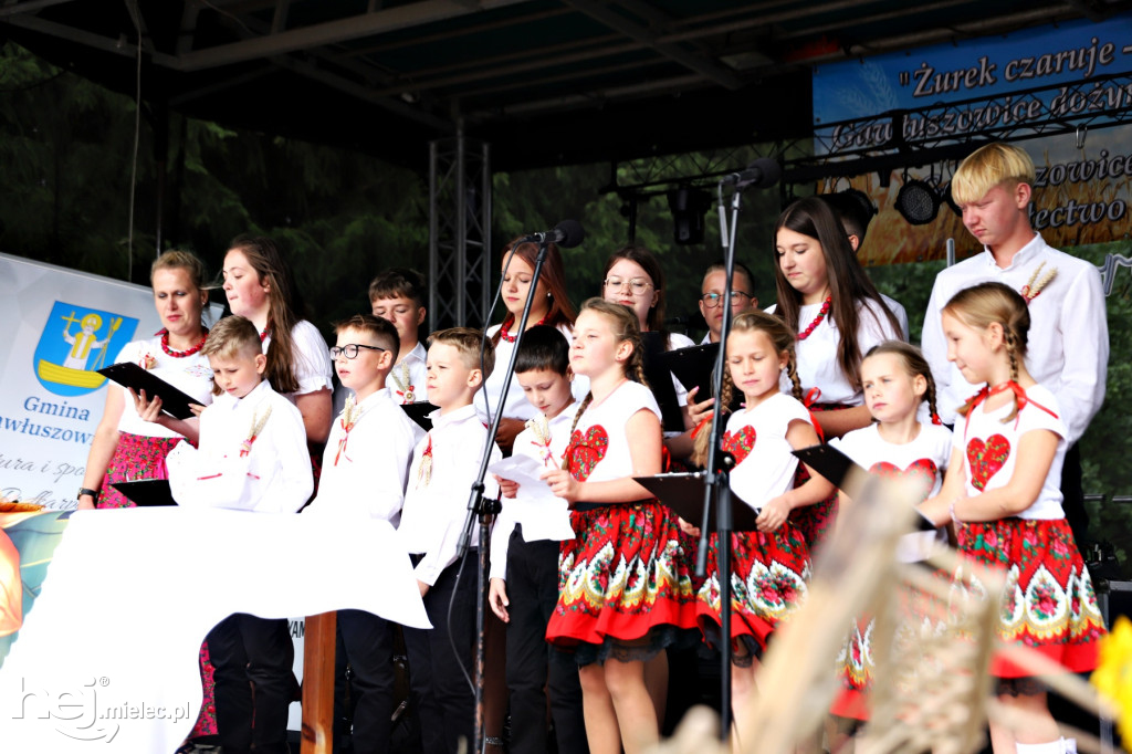 Dożynki Gminne w Gawłuszowicach