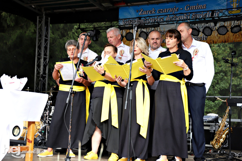 Dożynki Gminne w Gawłuszowicach