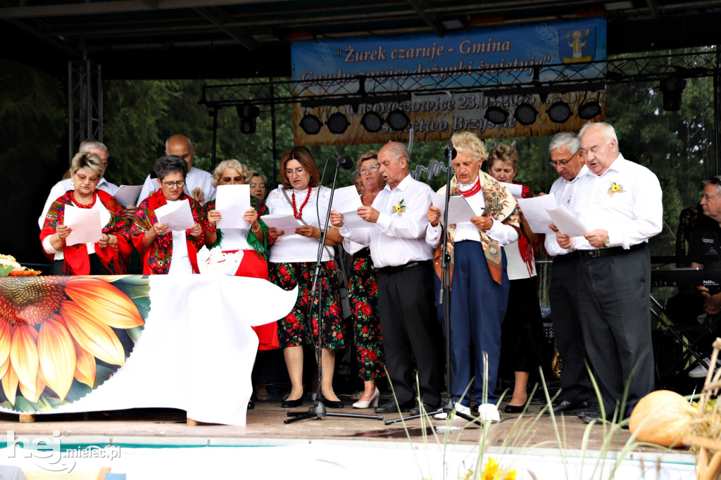 Dożynki Gminne w Gawłuszowicach