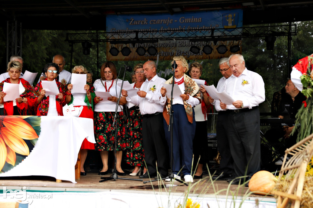 Dożynki Gminne w Gawłuszowicach