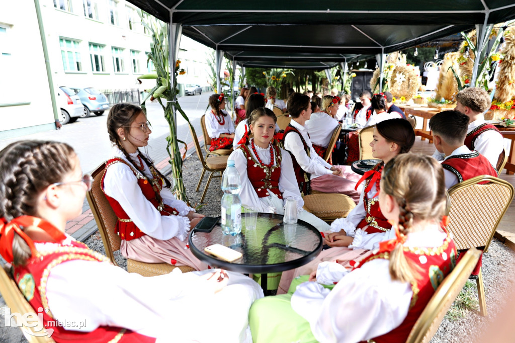 Dożynki Gminne w Gawłuszowicach