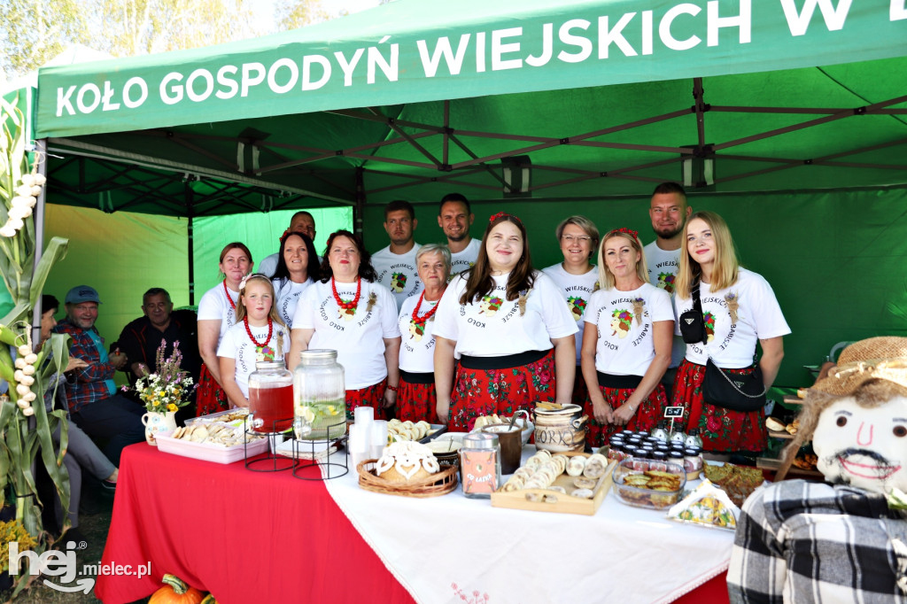 Święto plonów w Jaślanach