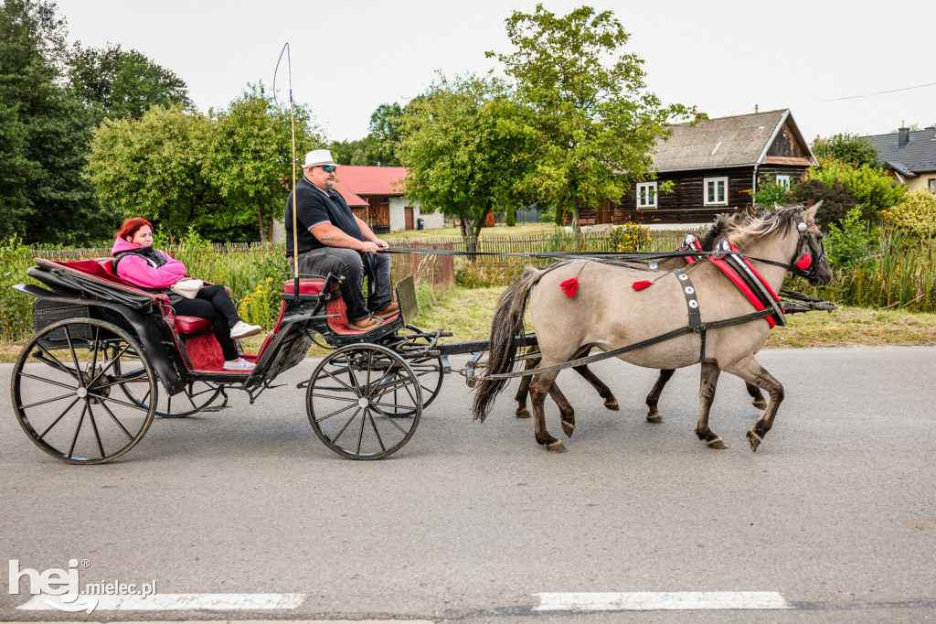 Parada Konna Żarówka 2025
