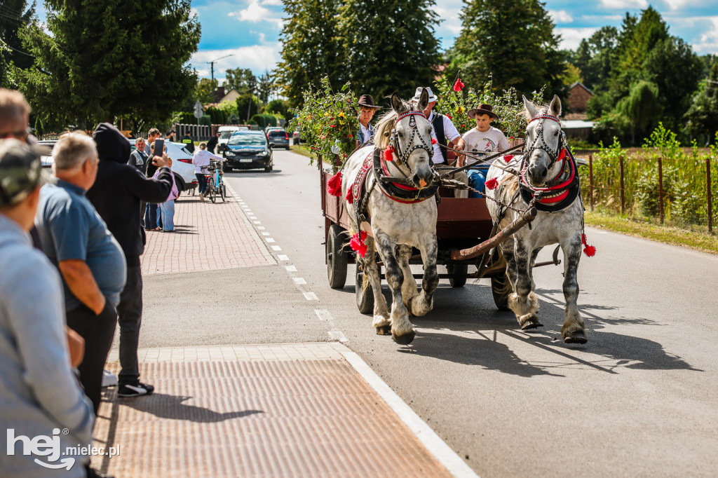 Parada Konna Żarówka 2025