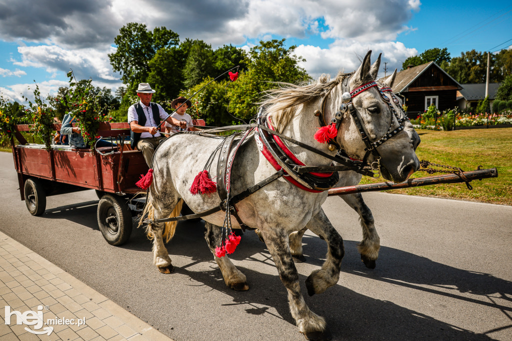 Parada Konna Żarówka 2025