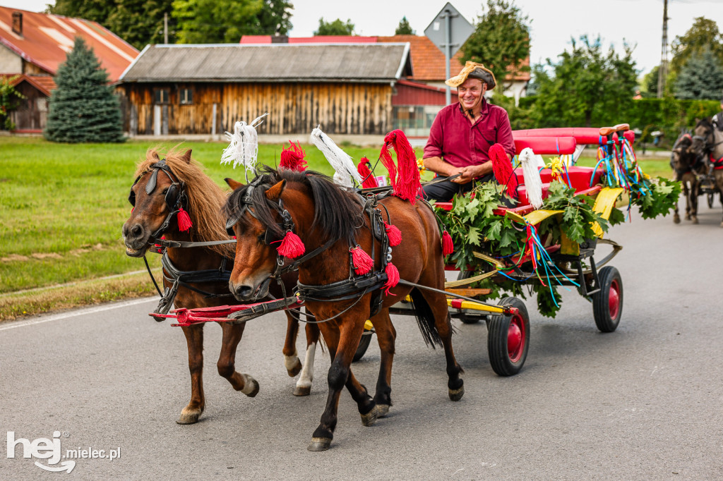 Parada Konna Żarówka 2025
