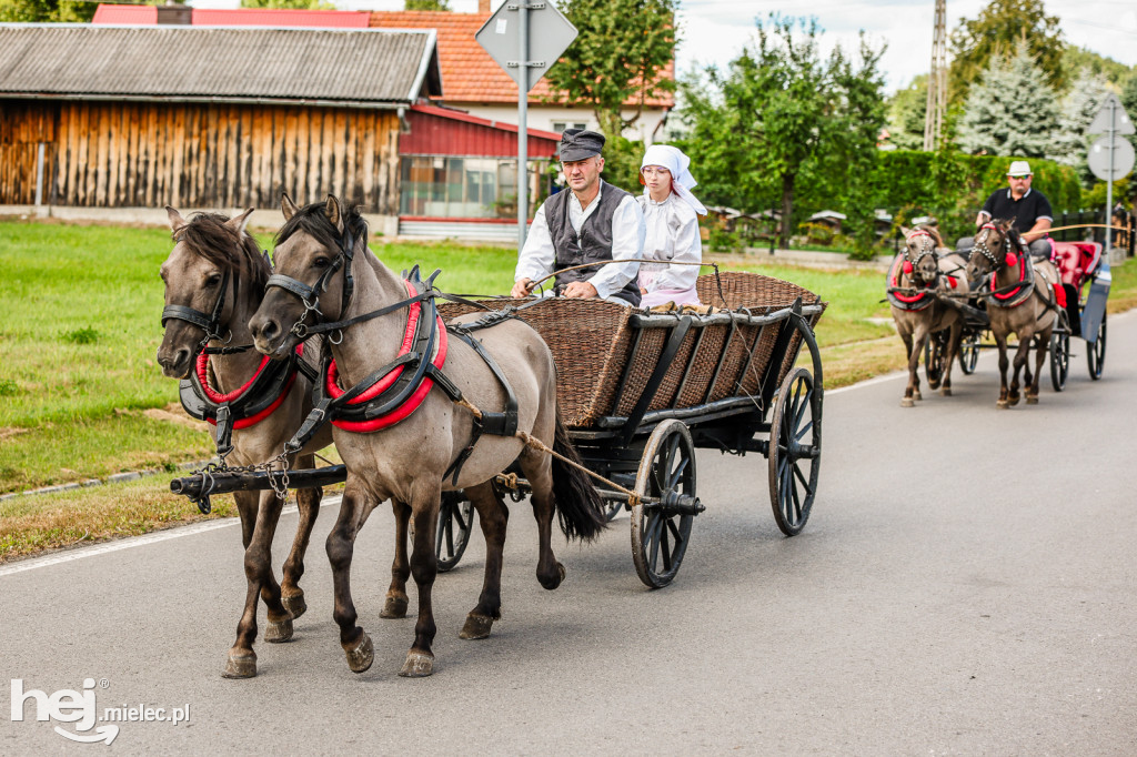 Parada Konna Żarówka 2025