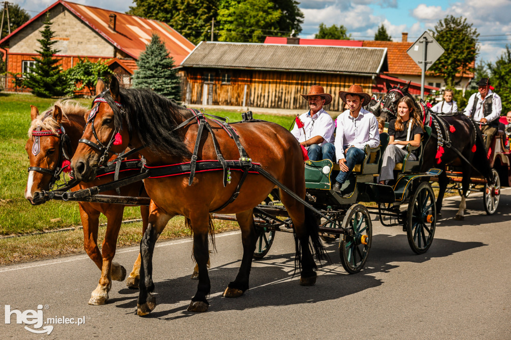 Parada Konna Żarówka 2025