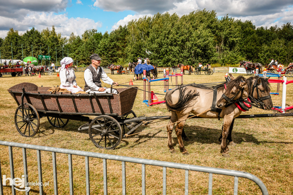 Parada Konna Żarówka 2025