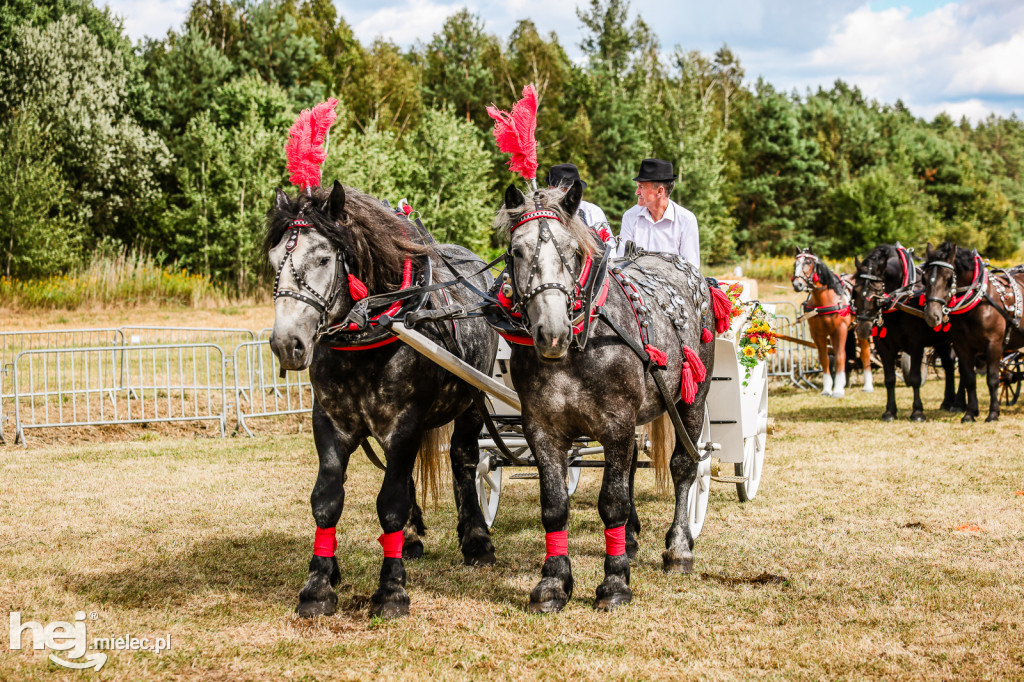 Parada Konna Żarówka 2025