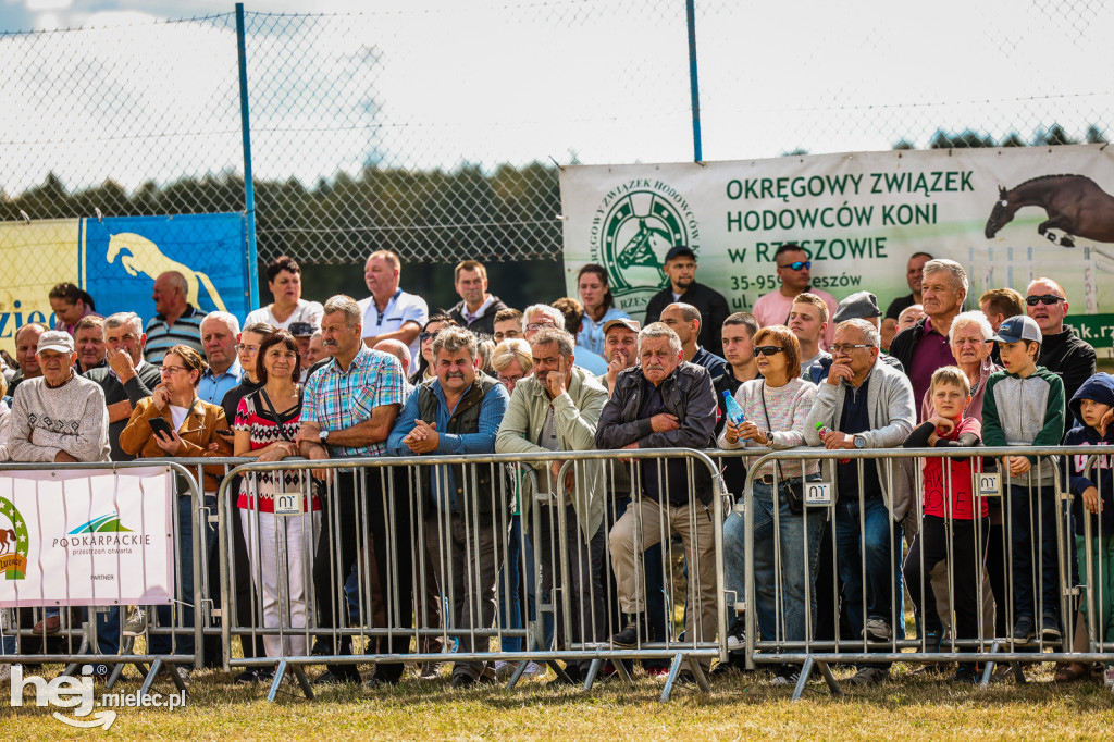 Parada Konna Żarówka 2025