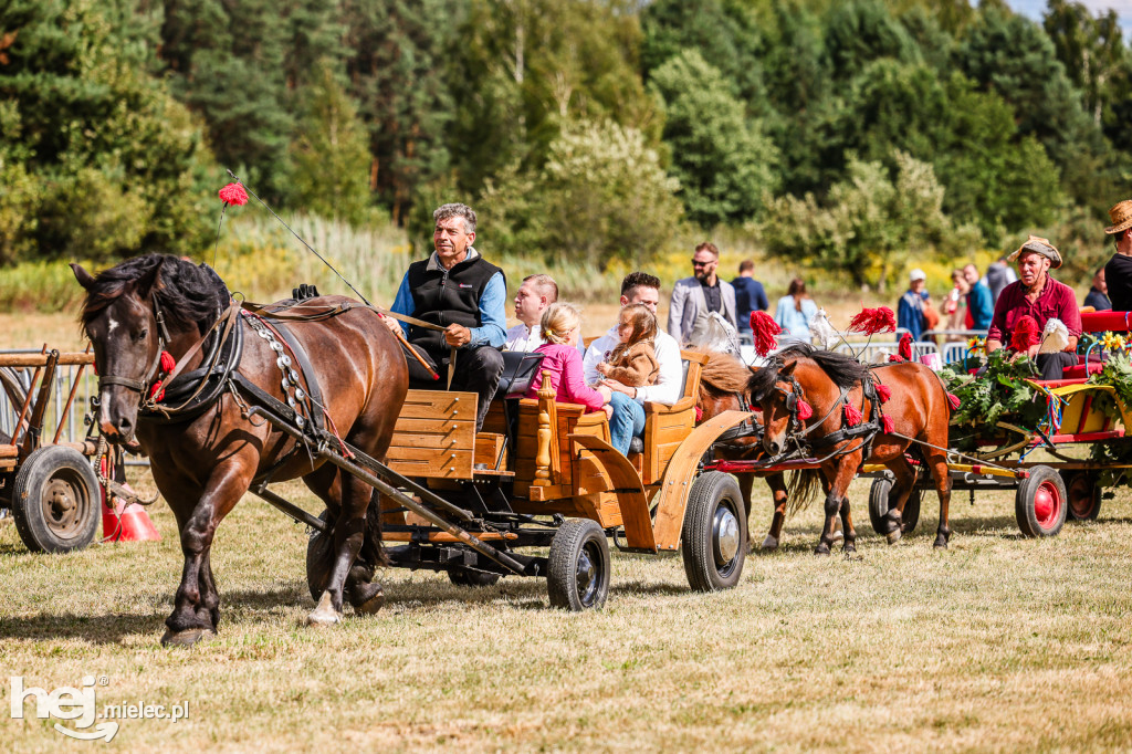 Parada Konna Żarówka 2025
