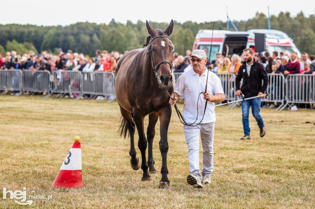 Parada Konna Żarówka 2025