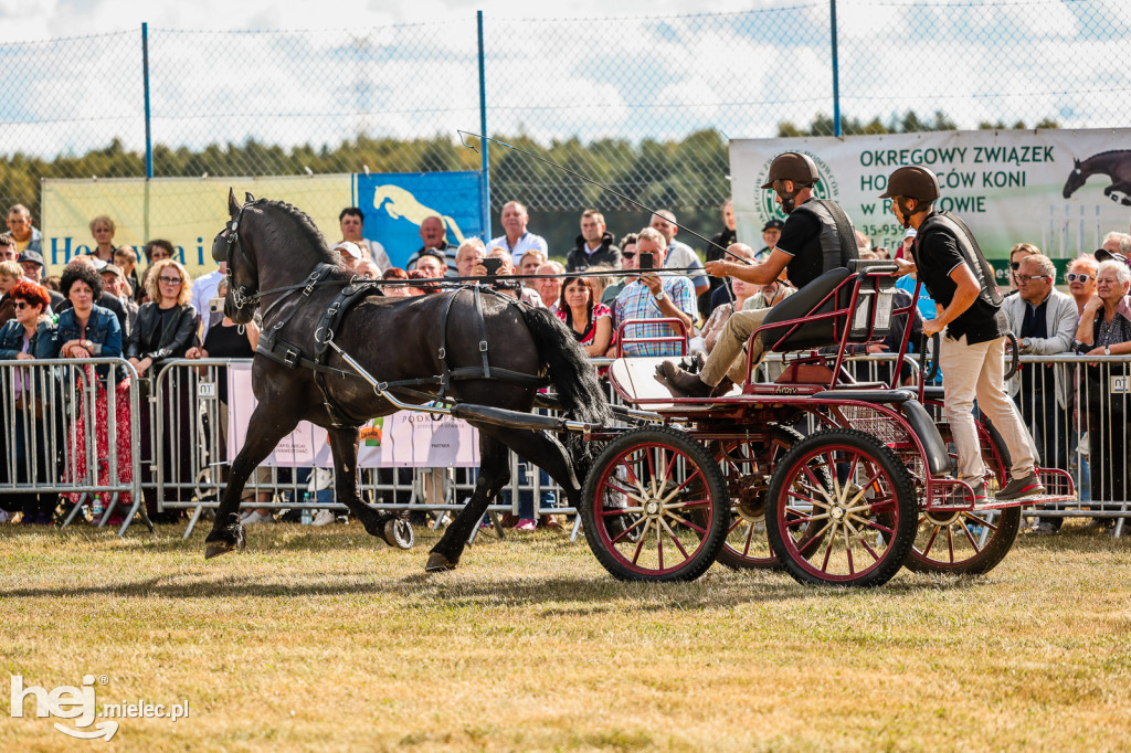 Parada Konna Żarówka 2025