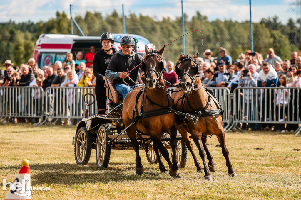 Parada Konna Żarówka 2025