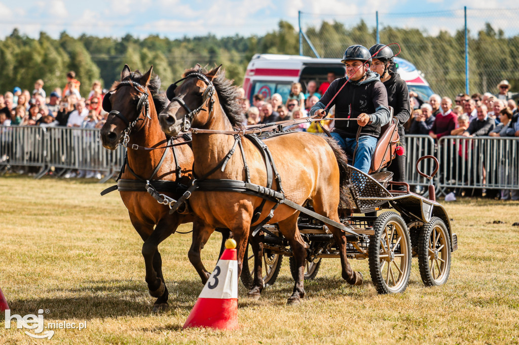 Parada Konna Żarówka 2025