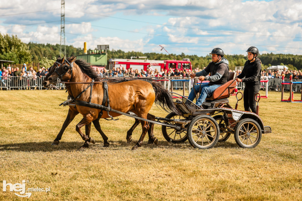 Parada Konna Żarówka 2025