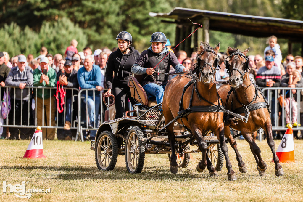 Parada Konna Żarówka 2025